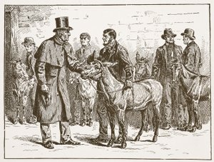 Lord Shaftesbury, bir maliyet satıcısı Eşek Gösterisini teftiş ediyor, İngiltere Kilisesi