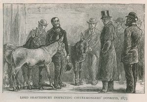 Lord Shaftesbury, mal ticareti yapan eşekleri teftiş ediyor by English School