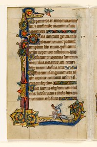 MS 1-2005, fol. 115v: Tazıya binen bir Tavşan, avcılık, Macclesfield Psalter'dan marjinal dekorasyon, Sarum Kullanımı, Doğu Anglia, c.1330 by English School