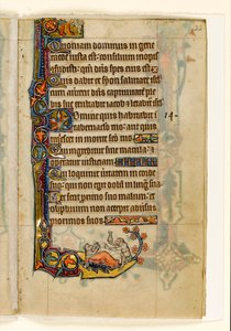 MS 1-2005, fol. 22r: Maymun-doktor ve ayı-hastası, Macclesfield Psalter