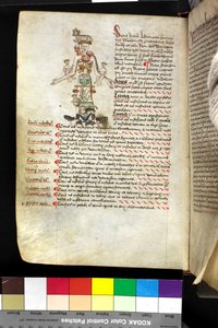 MS Hunter 251 f.47v, bir 