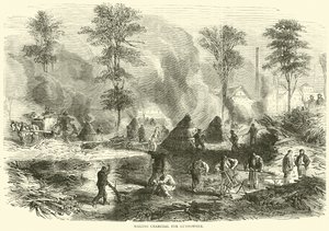 Barut için kömür yapımı, Ekim 1870 by English School