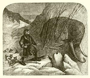 buzdaki mamut