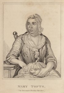 Mary Tofts, Sahte Tavşan Yetiştiricisi by English School