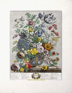 Mayıs, 1730 by English School