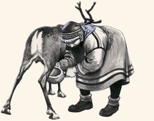 Ren geyiği sağmak by English School