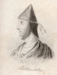 Mithridates VI, 