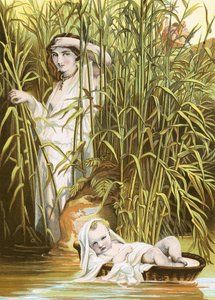 Moses in the bulrushes by English School
