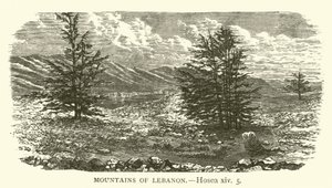 Lübnan Dağları, Hoşea, xiv, 5 (gravür) by English School