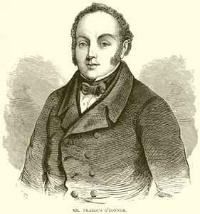 Bay. FearC OConnor by English School