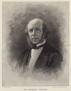 Bay Herbert Spencer (gravür) by English School