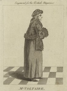 Bay Voltaire by English School