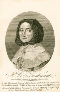 Bayan Hester Tradescant by English School