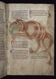 Ms.254 f.24 r Cocodrillus Bir Adamı Yutma by English School