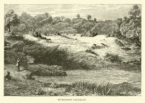 Murchison Katarakt by English School