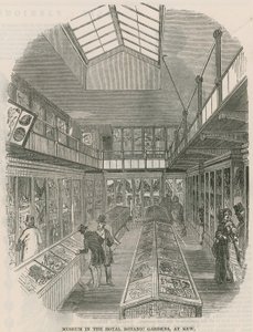 Kew Kraliyet Botanik Bahçeleri Müzesi by English School