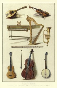 Müzik Enstrümanları by English School