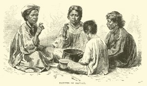 Hawaii Yerlileri by English School