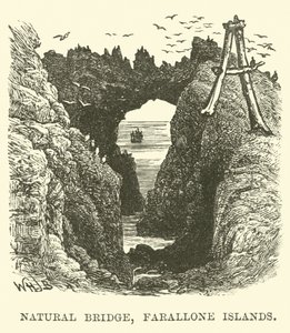 Doğal Köprü, Farallon Adaları by English School