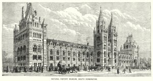 Doğal Tarih Müzesi, Güney Kensington (gravür) by English School