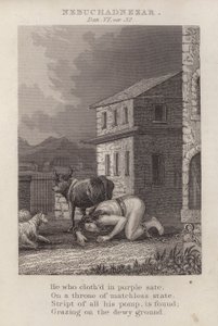 Nebukadnezar, Daniel VI, ver 32 (gravür) by English School