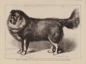 "Nero," Bir Nepaulese Köpeği, 63. Birlikten Yüzbaşı Ryan