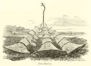 Ağ Kurutma by English School