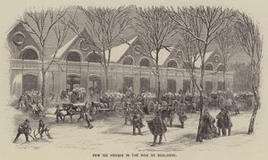 Bois de Boulogne