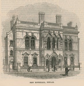 Poplar