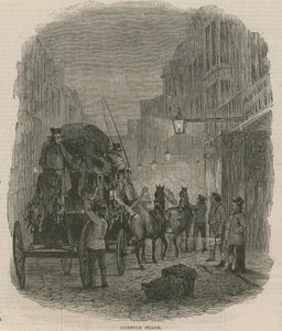 Norfolk Antrenörü by English School