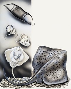 Göründüğü Gibi Değil... by English School