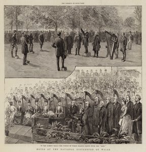 Galler Ulusal Eisteddfod