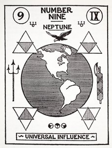 Dokuz Numara, Neptün by English School