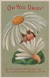 Ey Daisy! (renkli lito) by English School