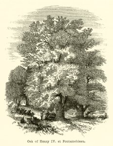 Fontainebleau