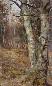 Eski Warren, Bryanston by English School