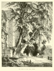 Villa dEste