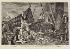 Firth of Forth, Catch