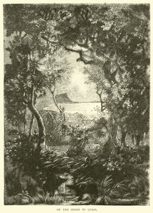 Cumae tarafından kıyıda by English School