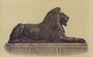 Londra'daki Trafalgar Meydanı'ndaki aslan heykellerinden biri by English School