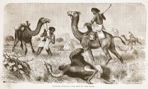 Devekuşu avı- kovalamanın sonu, J. Ewing Richie