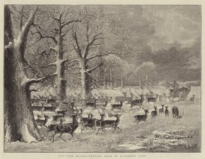 Açık Rölyef, Richmond Park