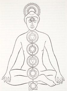 Padmasana veya lotus pozisyonu by English School