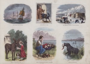 Çekici Resimli Kitaptan Sayfa (renkli gravür) by English School