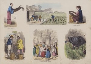 Çekici Resimli Kitaptan Sayfa (renkli gravür) by English School