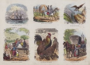 Çekici Resimli Kitaptan Sayfa (renkli gravür) by English School