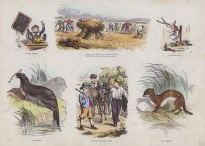 Çekici Resimli Kitaptan Sayfa (renkli gravür) by English School