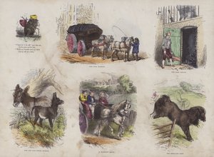 Çekici Resimli Kitaptan Sayfa (renkli gravür) by English School