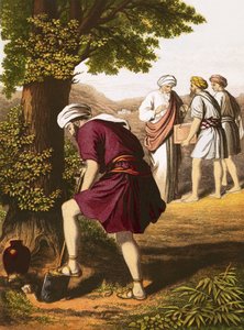 Yeteneklerin benzetmesi by English School
