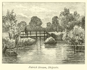 Patrick Çayı, Shiplake by English School